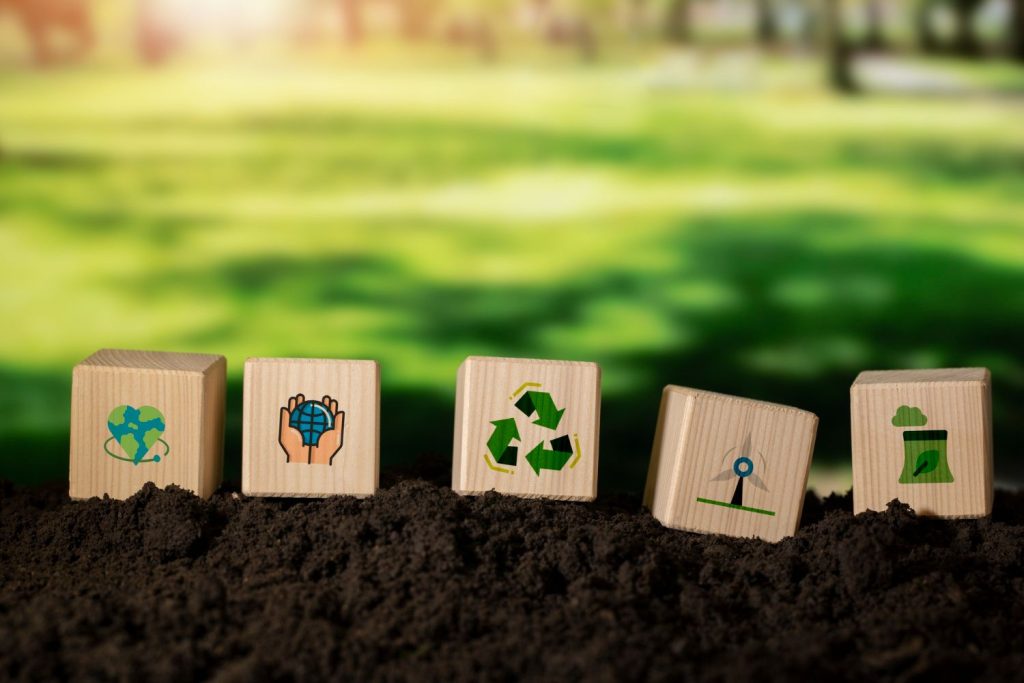 sustainable development goals still life 6615e598.jpg